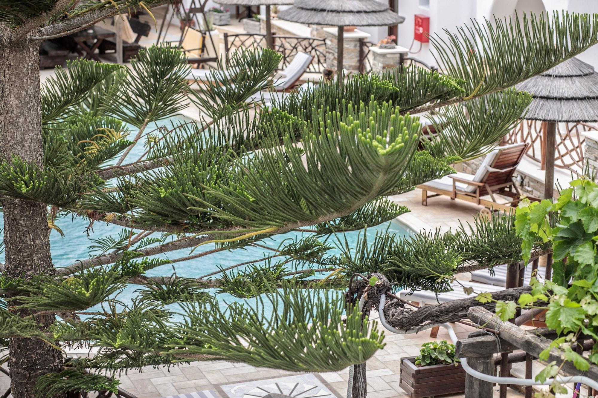 Anemomilos Beach Hotel Agia Anna  외부 사진